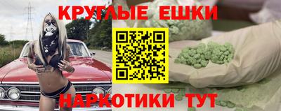 сатива Кингисепп