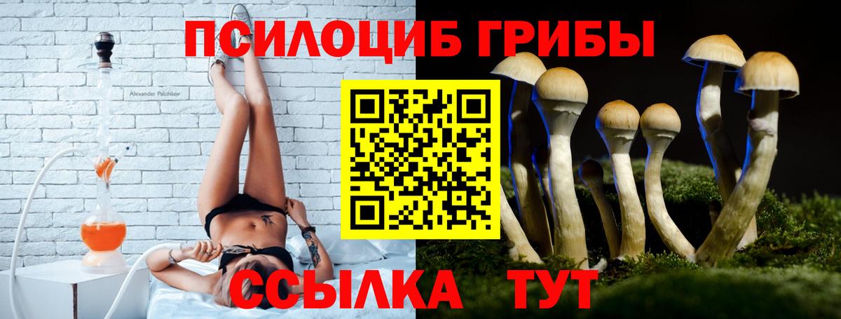 Королёв  Псилоцибиновые грибы MAGIC MUSHROOMS  Галлюциногенные грибы Cubensis  Вход с VPN 